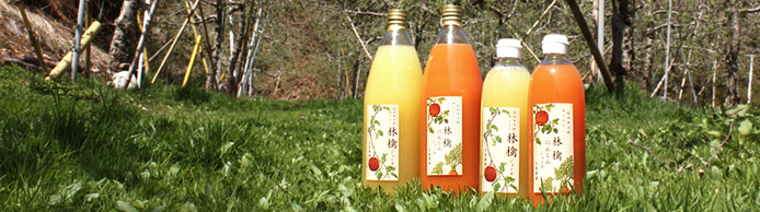 林檎ジュース 林檎人参ジュース